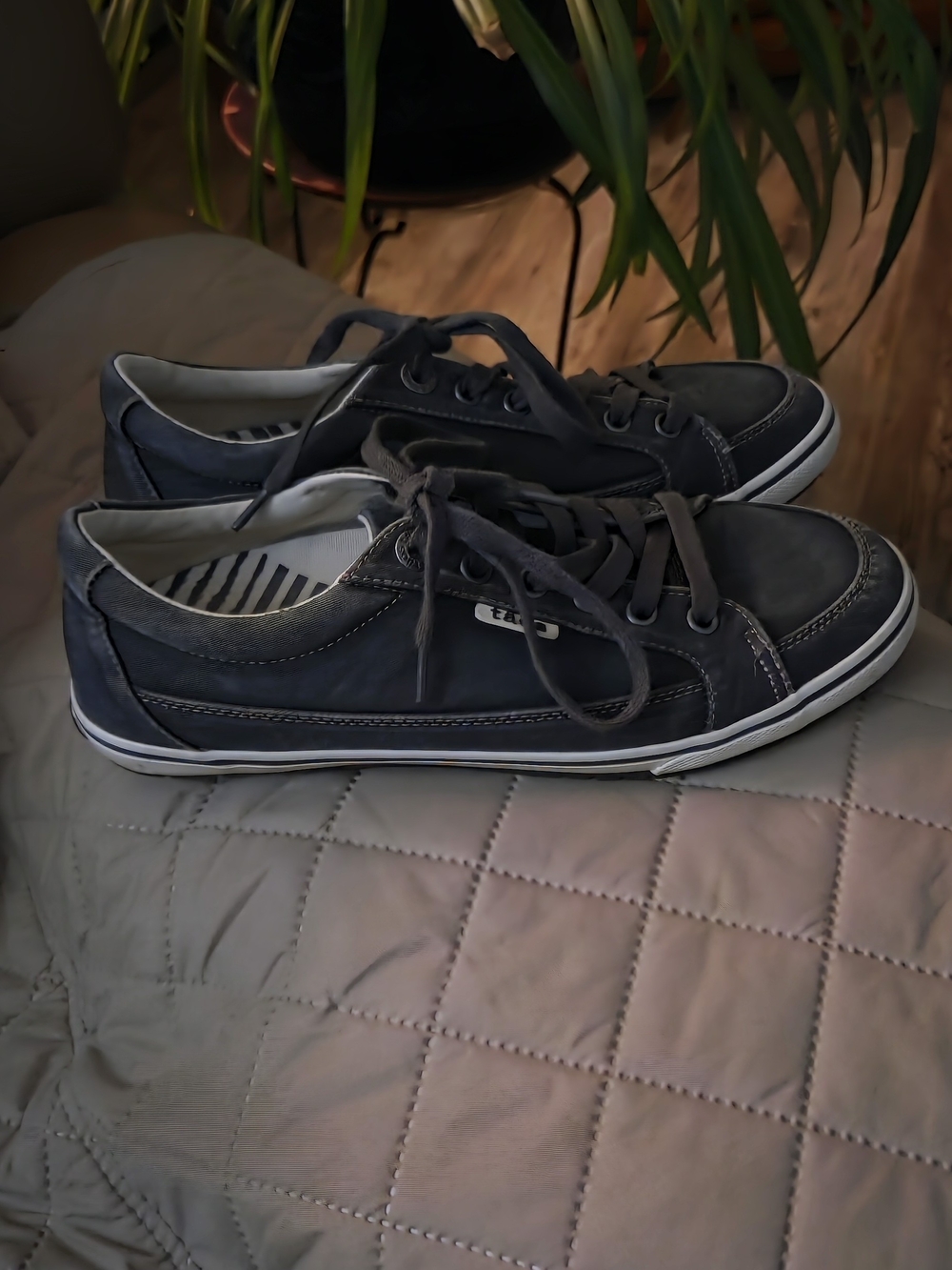Womens TAOS Moc Star Size 8